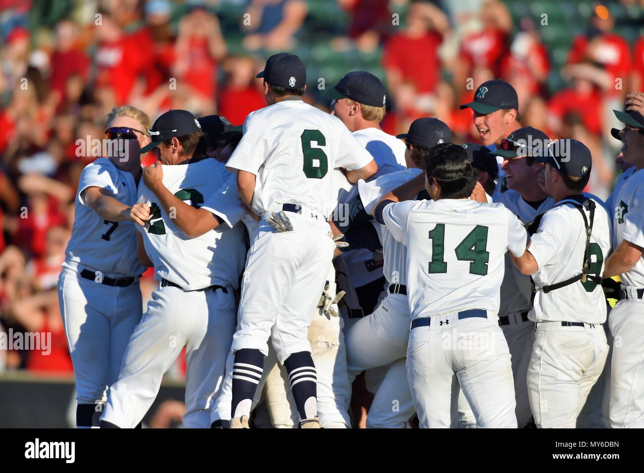 Teammates greet and congratulate player at the plate following his home run. USA. Stock Photo