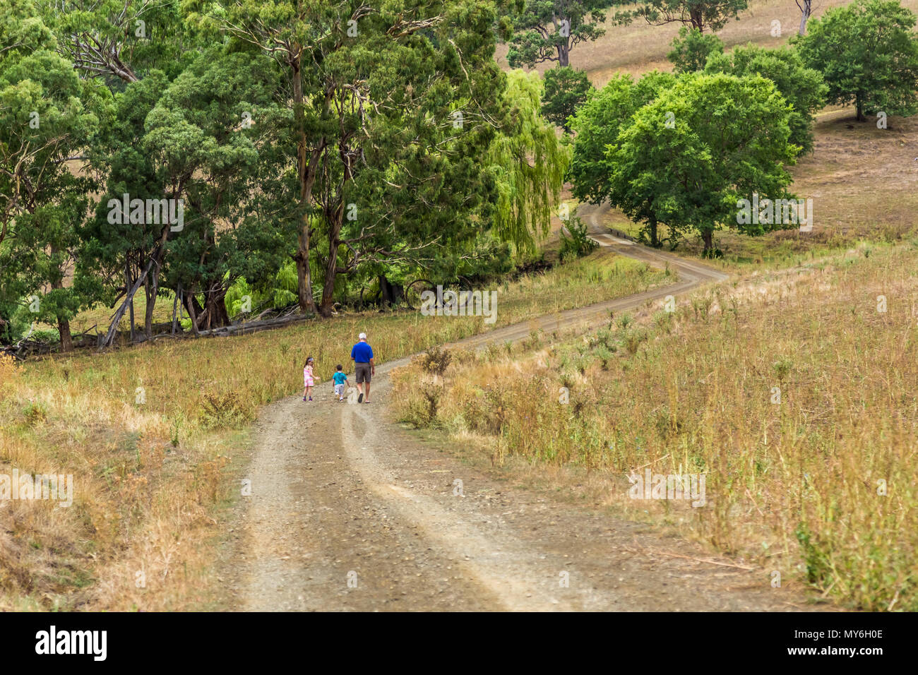 Grandfather walking with his grandchildren along a path in the Upper Hunter Valley, NSW, Australia. Stock Photo