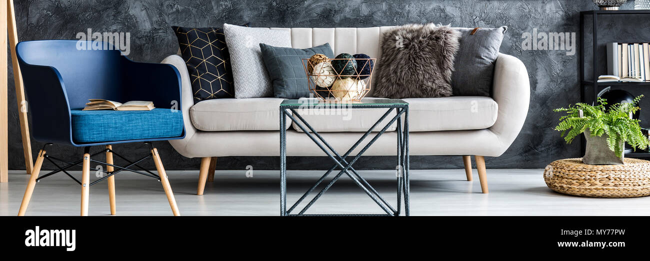 https://c8.alamy.com/comp/MY77PW/light-grey-sofa-with-decorative-pillows-standing-in-dark-living-room-interior-with-metal-table-fresh-plant-and-blue-armchair-with-book-MY77PW.jpg