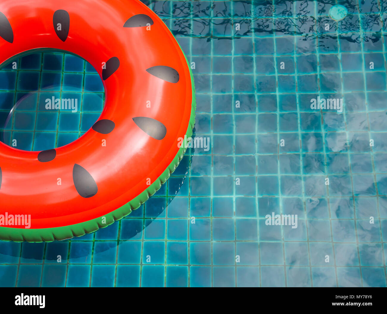 Pool Float Ring are Floating on Swimming Pool Background, Summer