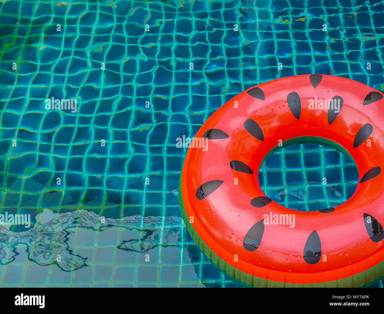 Pool Float Ring are Floating on Swimming Pool Background, Summer