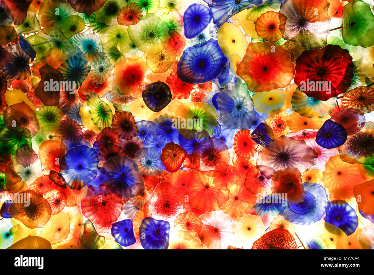 Bellagio flowers ceiling Clearance