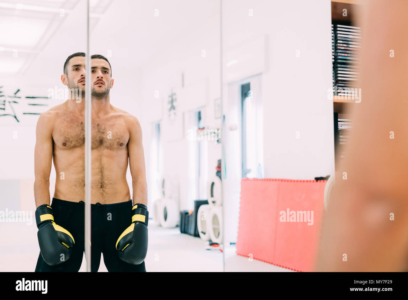 Mirror image portrait of boxer Stock Photo