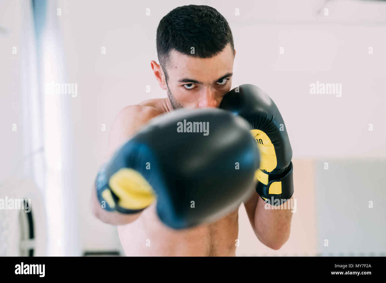 Portrait of man in boxing gloves looking at camera Stock Photo