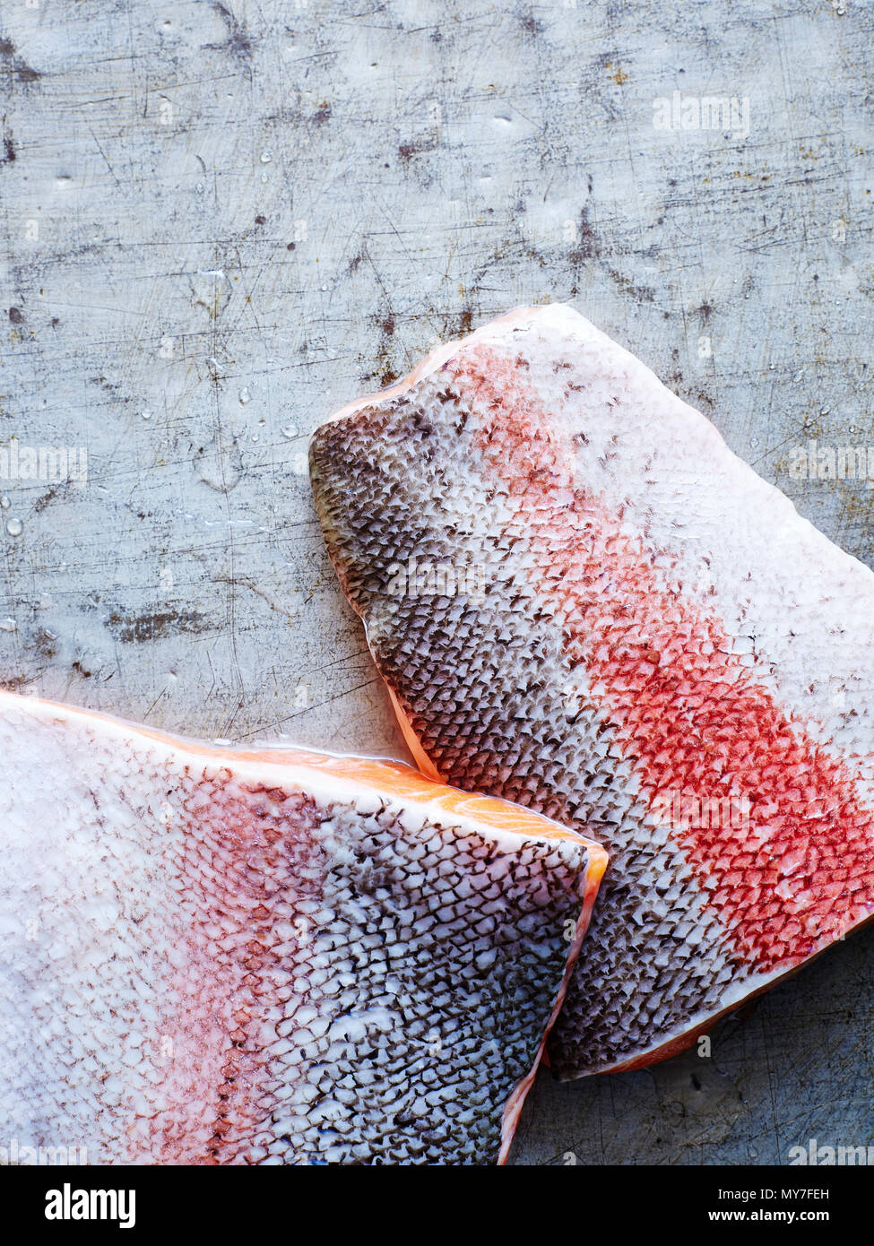 Still life of two pieces of ocean trout, overhead view Stock Photo