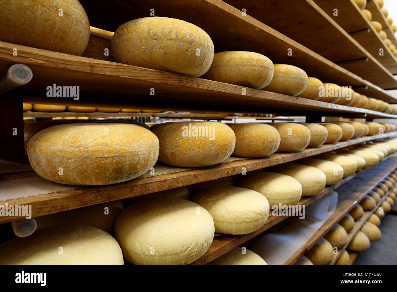 Cheeses in dairy storage room hires stock photography and images Alamy