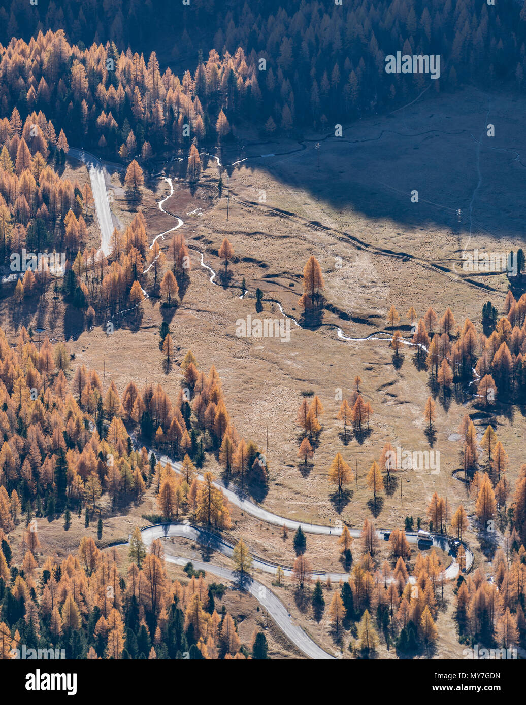 Autumn colours, Dolomites, Cortina d'Ampezzo, Veneto, Italy Stock Photo