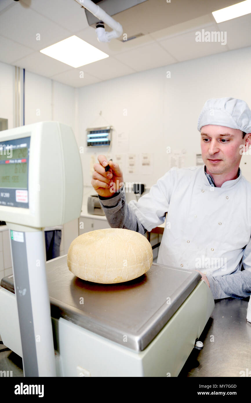 Cheese maker weighing wheels of hard cheese Stock Photo Alamy