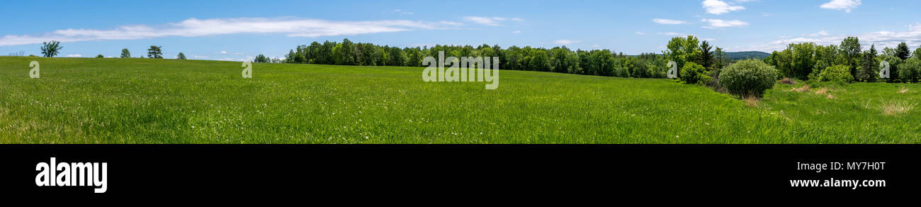 Panoramic view of a land in summer in northern state of NY Stock Photo
