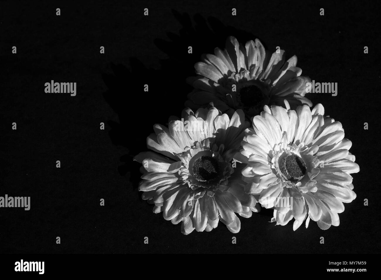 Flowers Black and White Stock Photos & Images - Alamy