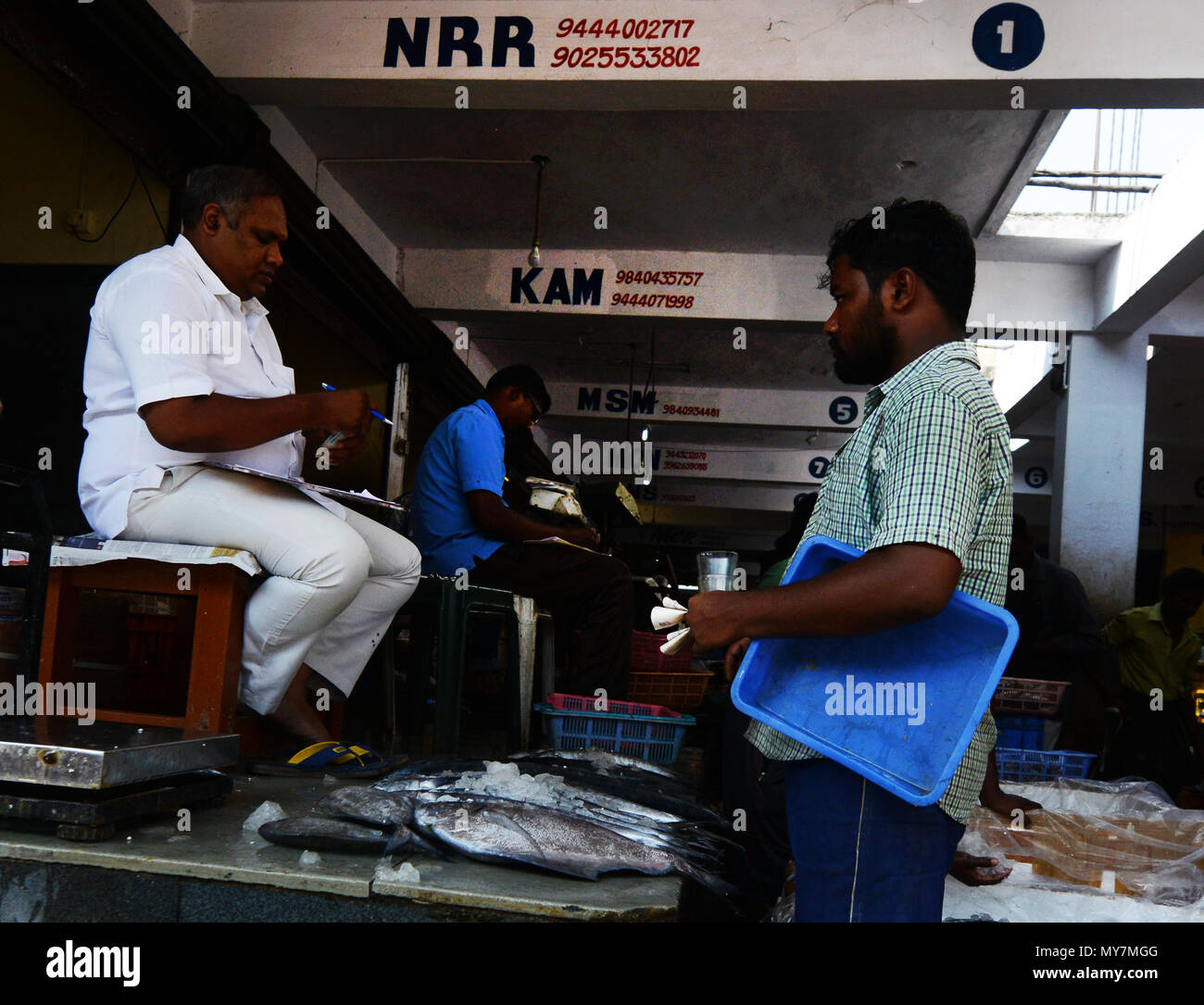 Chintadripet Fish Market in Chennai, India Stock Photo Alamy