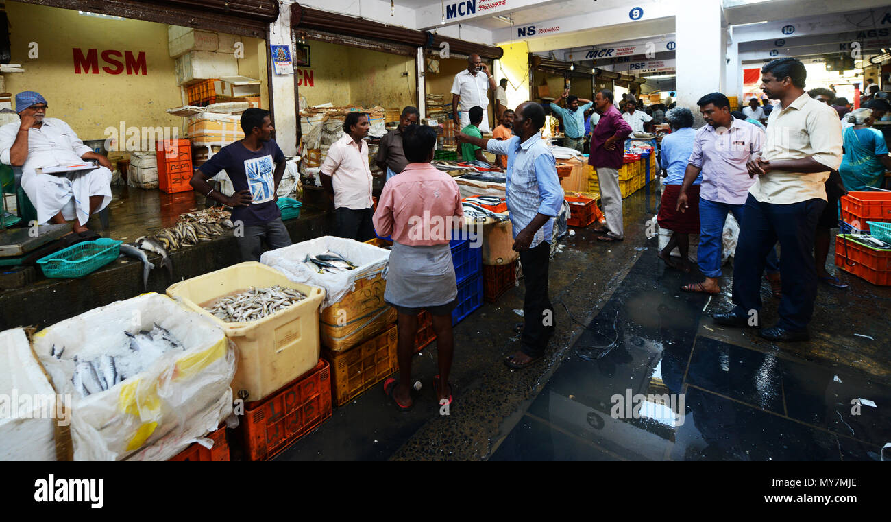 Chintadripet Fish Market in Chennai, India Stock Photo Alamy