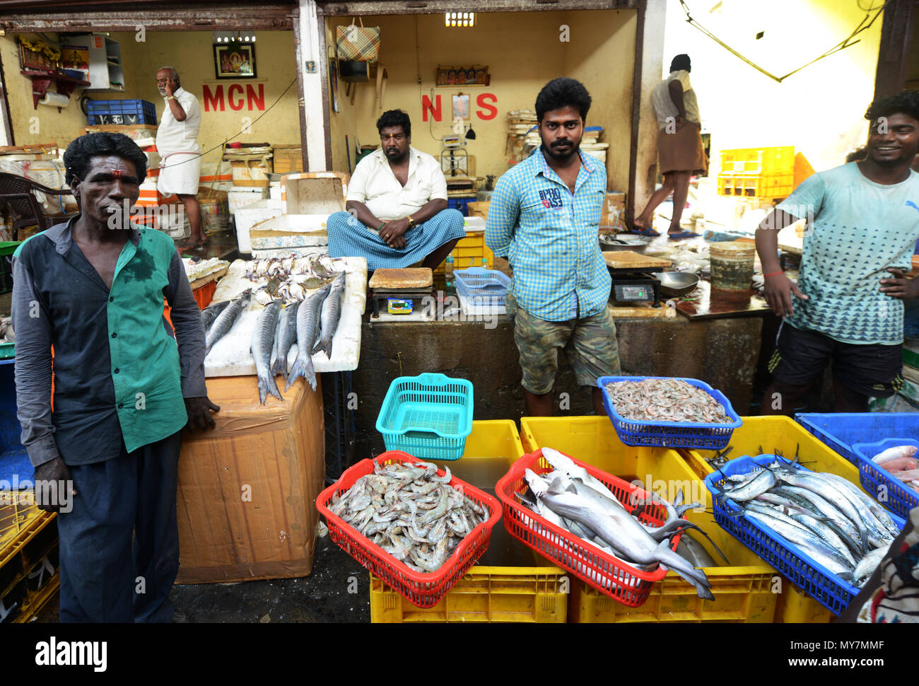 Chintadripet Fish Market in Chennai, India Stock Photo Alamy