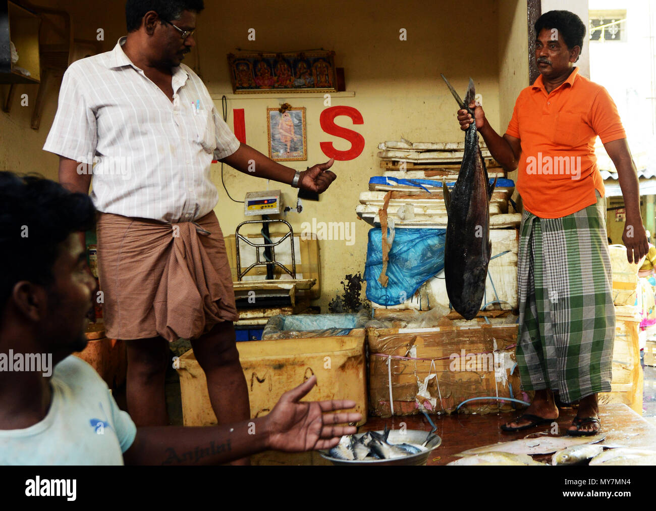 Chintadripet Fish Market in Chennai, India Stock Photo Alamy