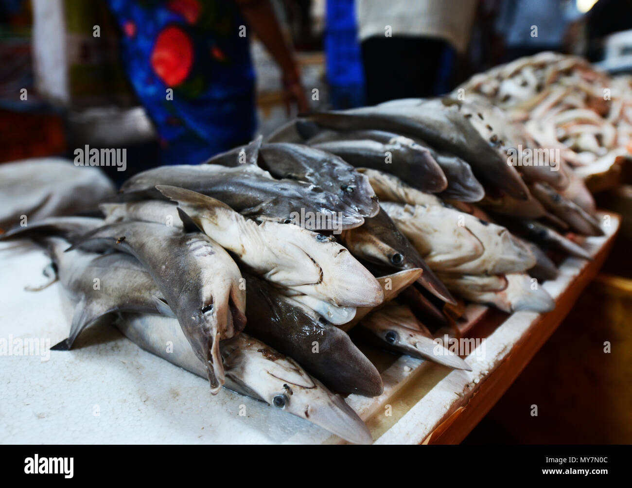 Chintadripet Fish Market in Chennai, India Stock Photo Alamy
