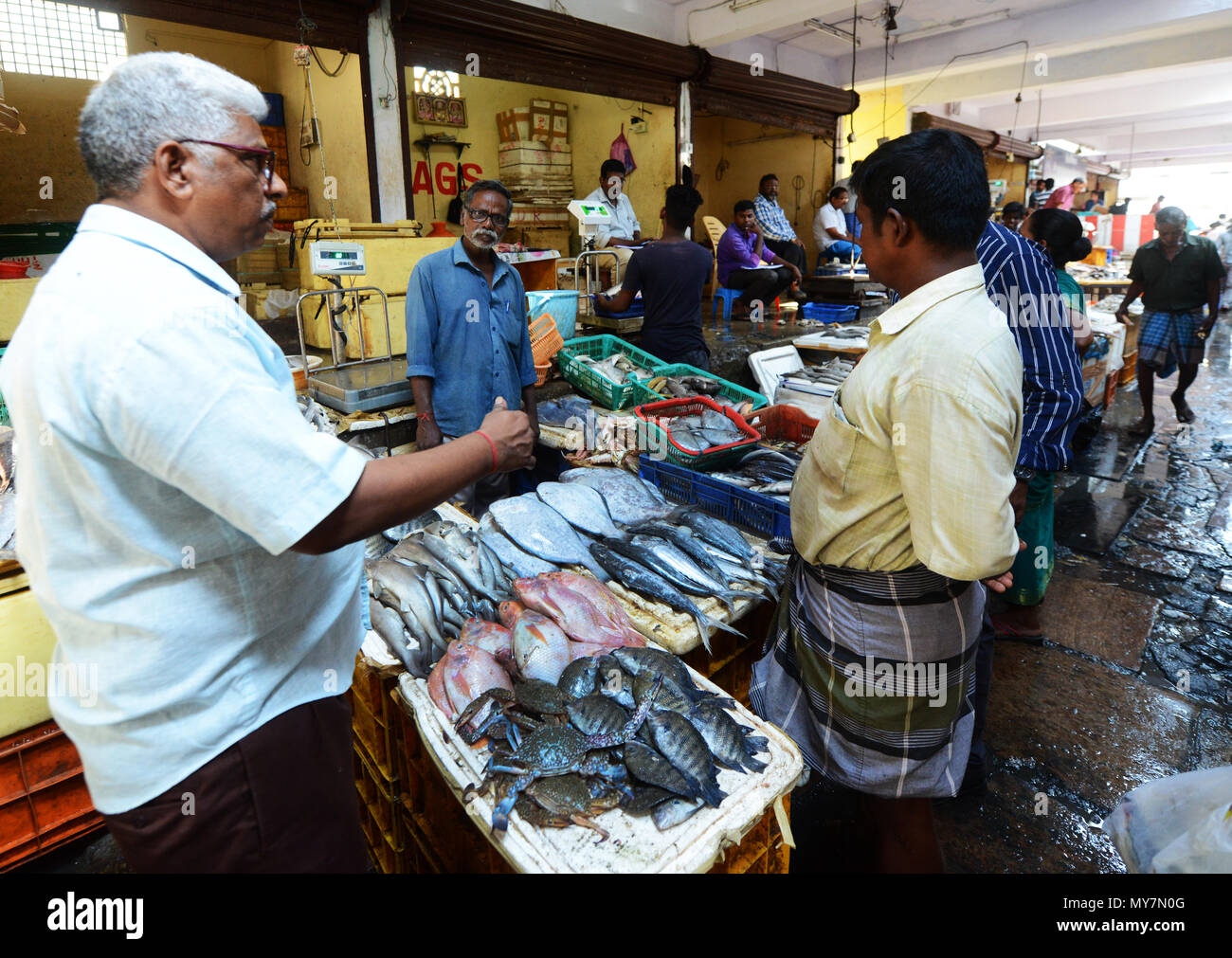 Chintadripet Fish Market in Chennai, India Stock Photo Alamy