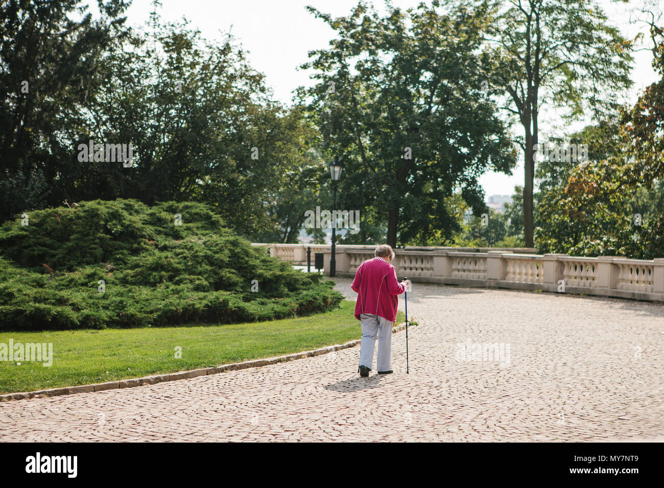 An elderly woman walks in the park or is engaged in athletic walking ...