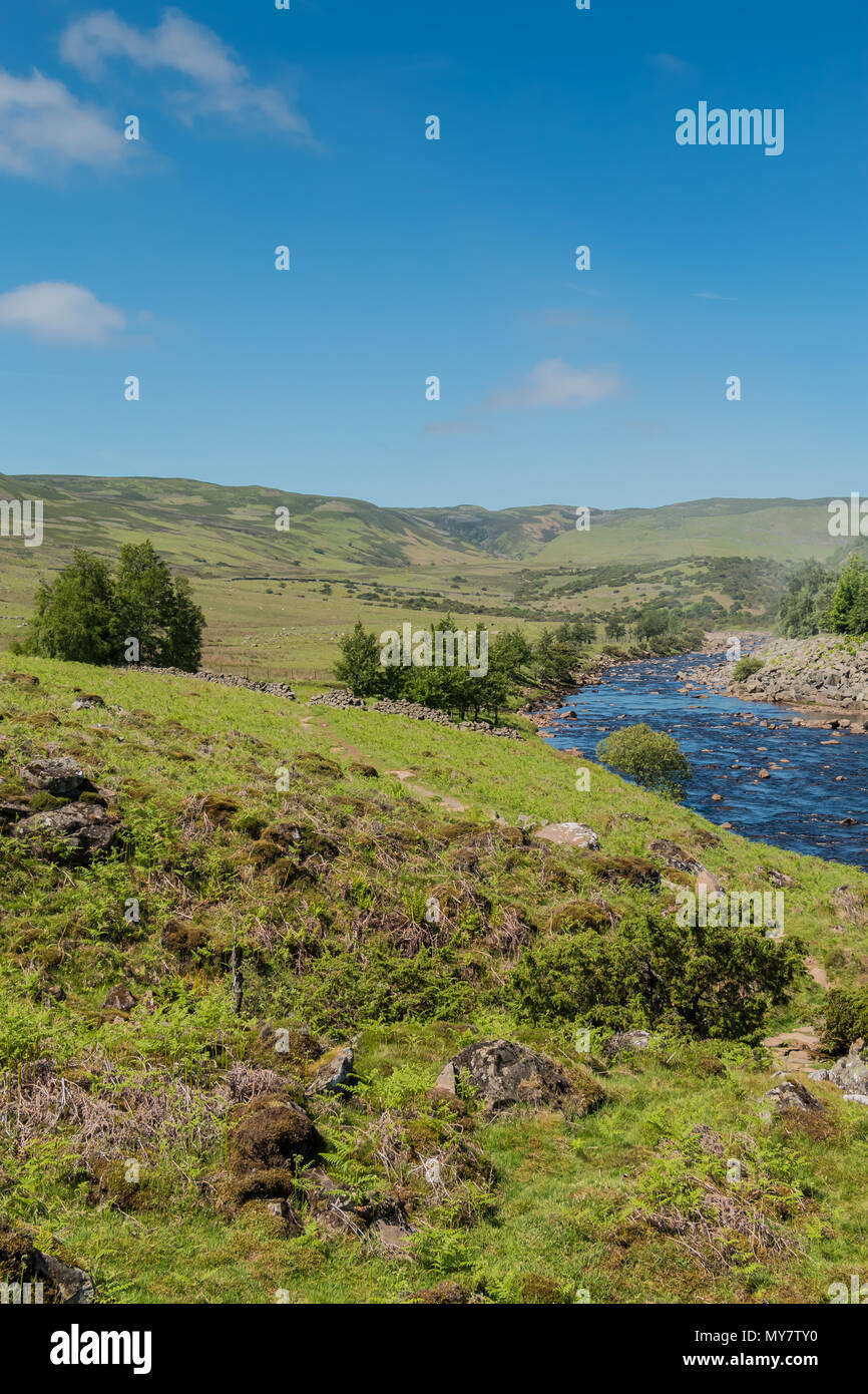 The Pennine Way long distance footpath in Upper Teesdale, alongside the river Tees, looking towards Cronkley Fell, in sunshine with copy space Stock Photo