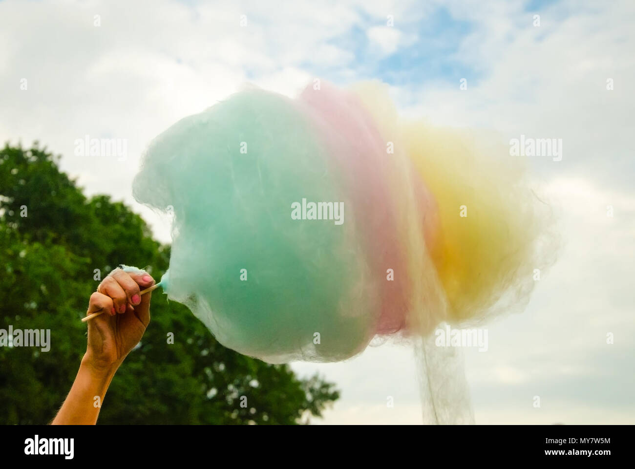 The hand of women holding coloured  cotton candy in the background of the blue sky and green tree Stock Photo