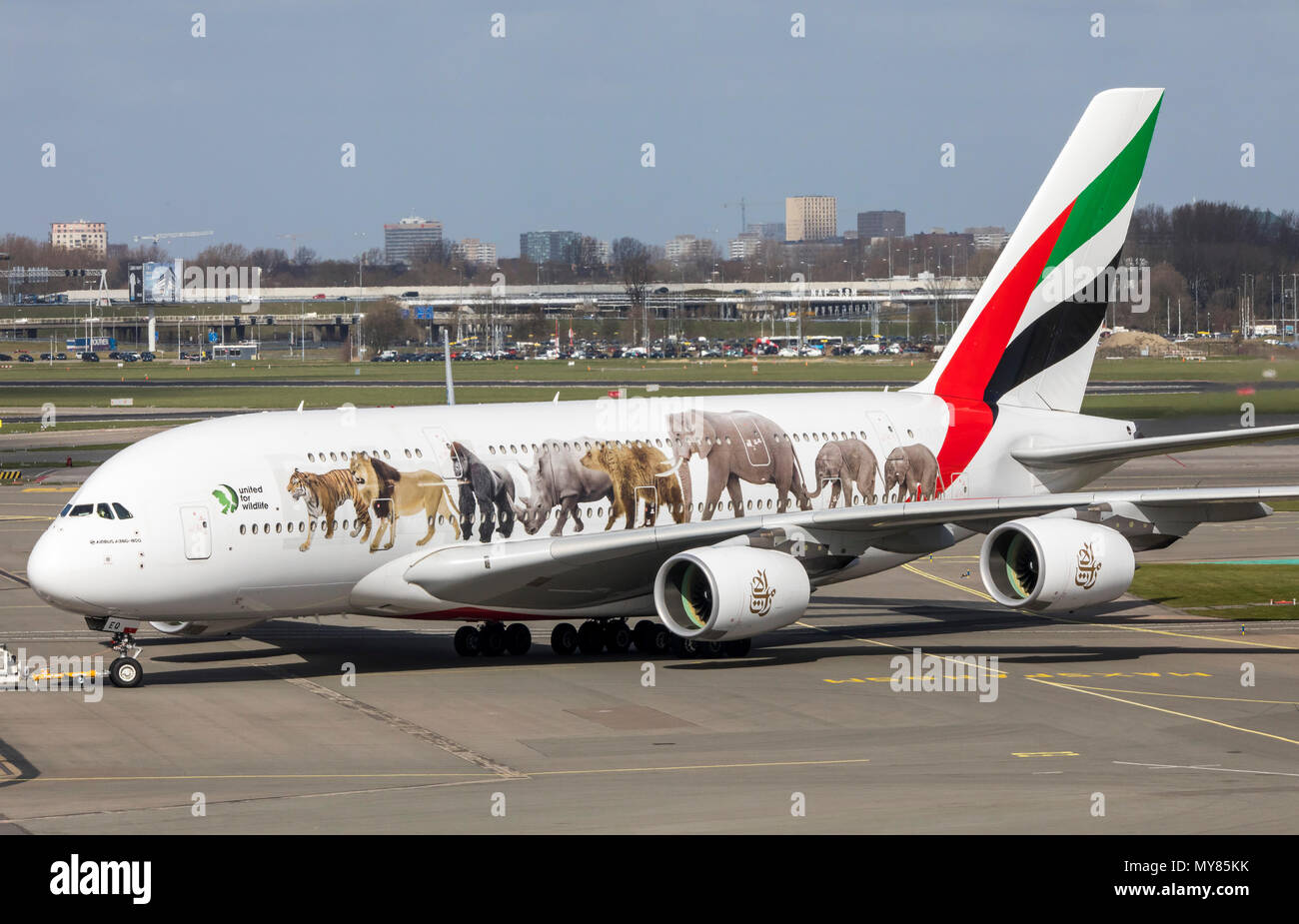 Emirates Airbus A 380-861, United for Wildlife Design, at Amsterdam Schiphol Airport, in North Holland, Netherlands, Stock Photo