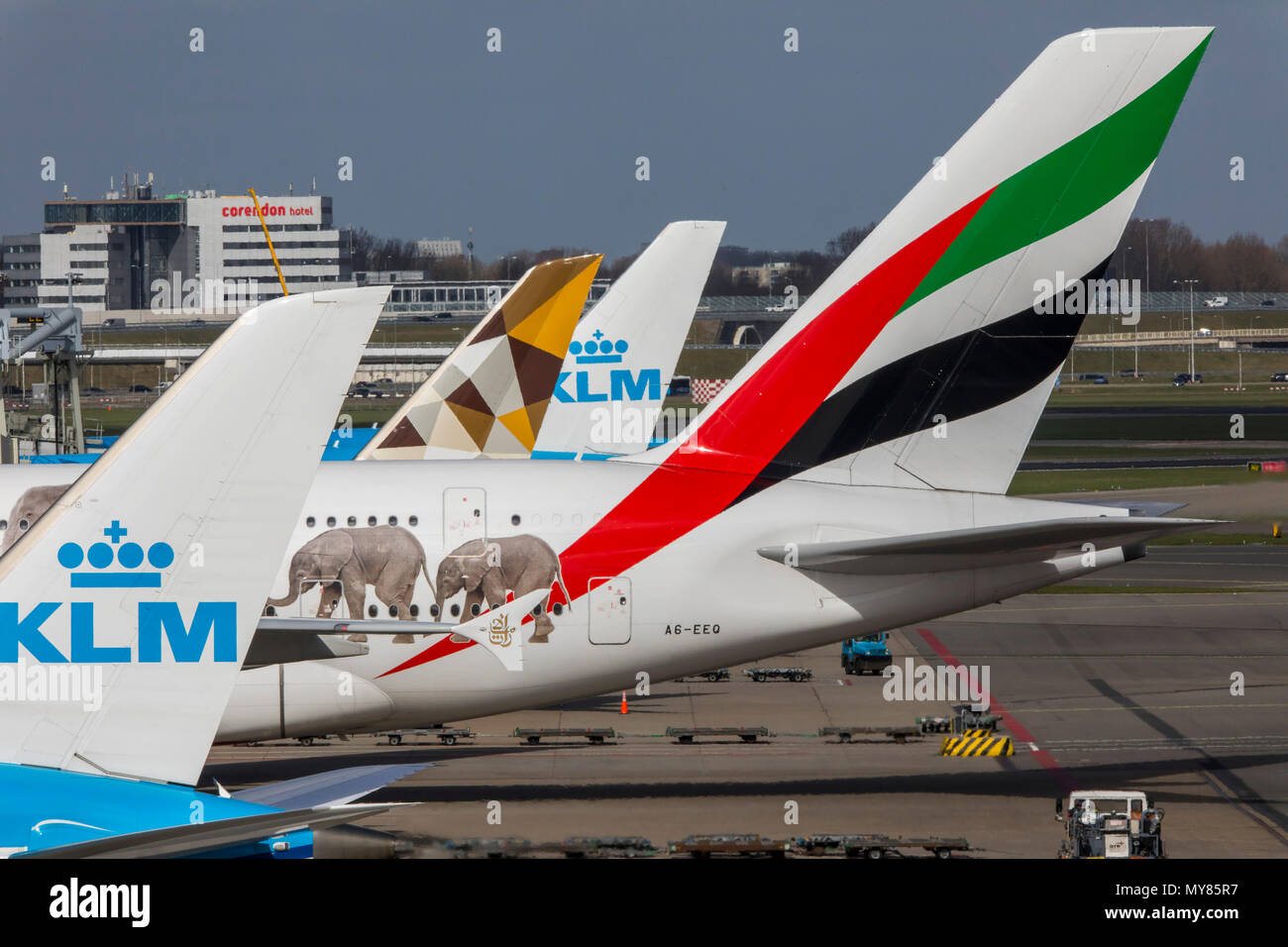 Emirates Airbus A 380-861, United for Wildlife Design, at Amsterdam Schiphol Airport, in North Holland, Netherlands, KLM Planes, Stock Photo