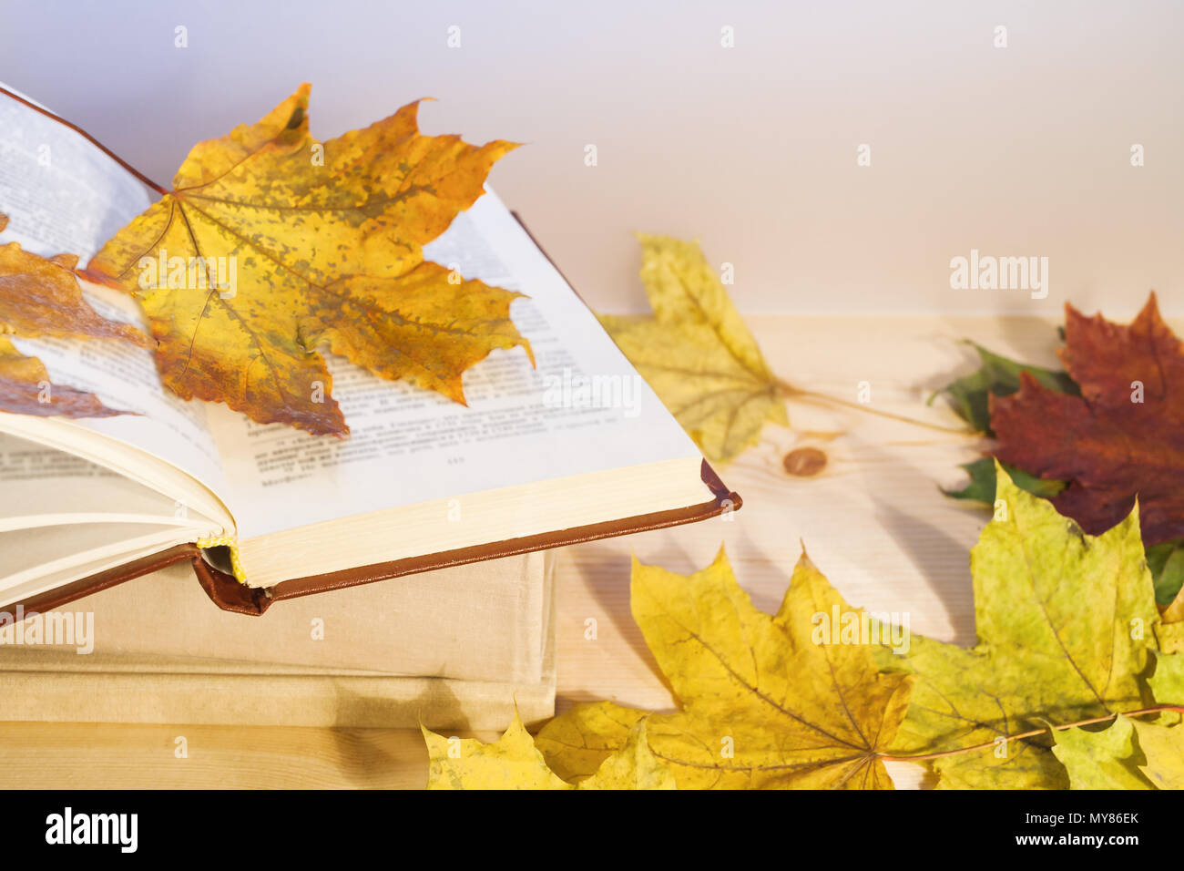Open book on autumn leaves hi-res stock photography and images - Alamy