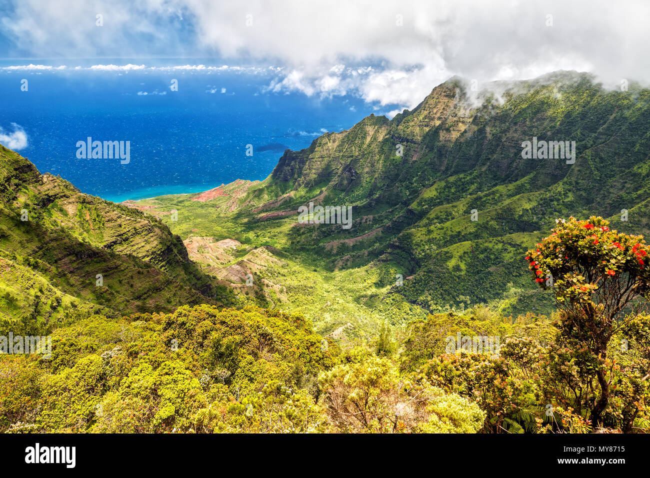 Panorama View over Kalalau Valley, Kauai, Hawaii Stock Photo