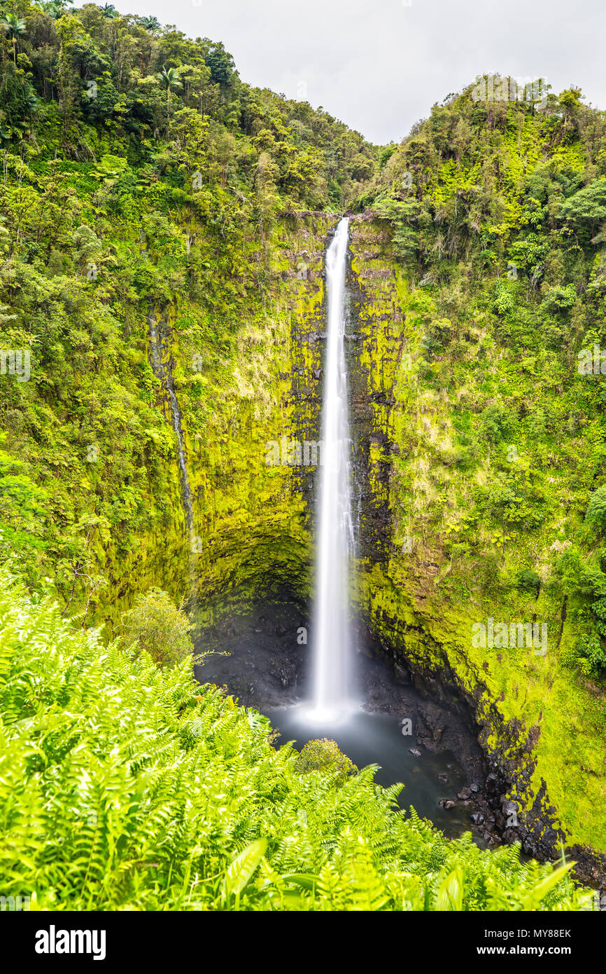 Akaka Falls on Big Island, Hawaii Stock Photo