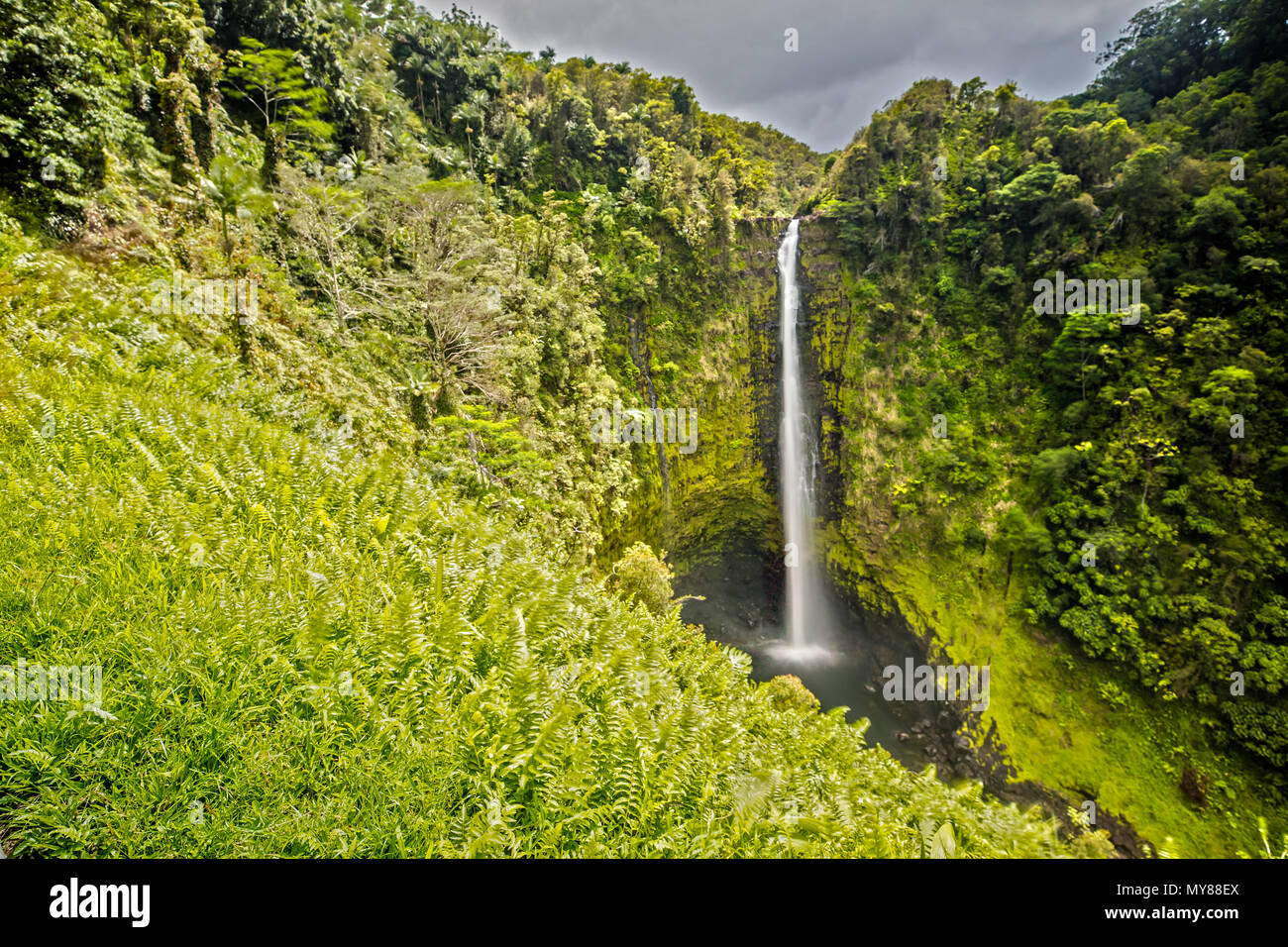 Akaka Falls on Big Island, Hawaii Stock Photo