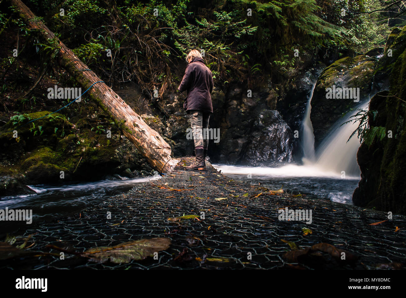 Mature woman exploring rural surroundings, rear view, Vancouver Island, Canada Stock Photo