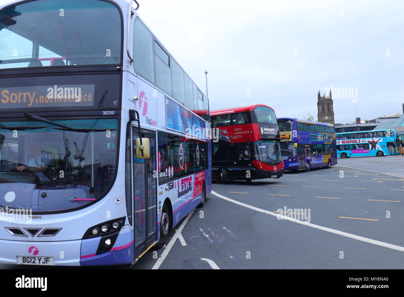 The 36 bus run by The Harrogate Bus Company which runs between Leeds