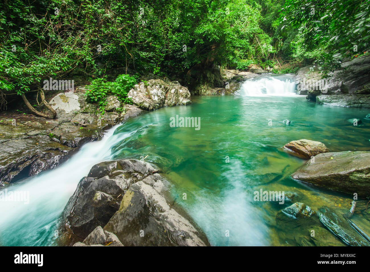 Beautiful waterfall in forest Stock Photo - Alamy