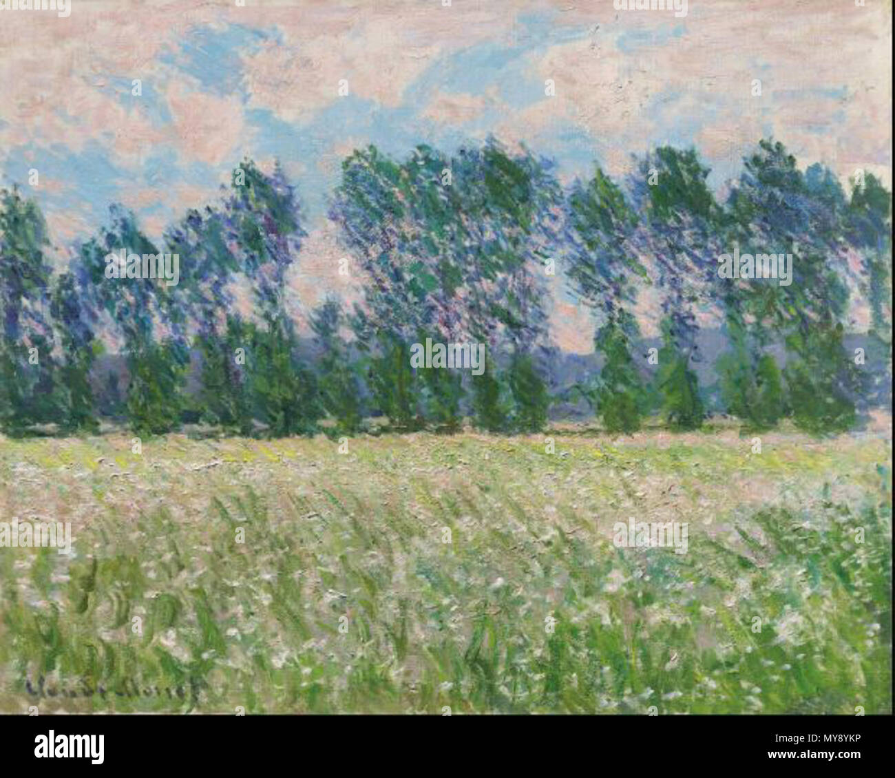 436 Prairie à Giverny Stock Photo