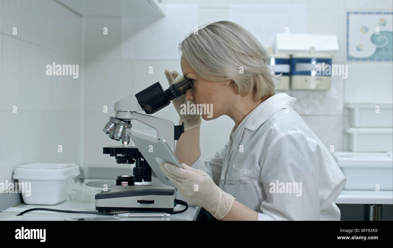 Doctor Using Microscope Imabe Medical doctor using microscope with tablet pc at the laboratory Stock ...