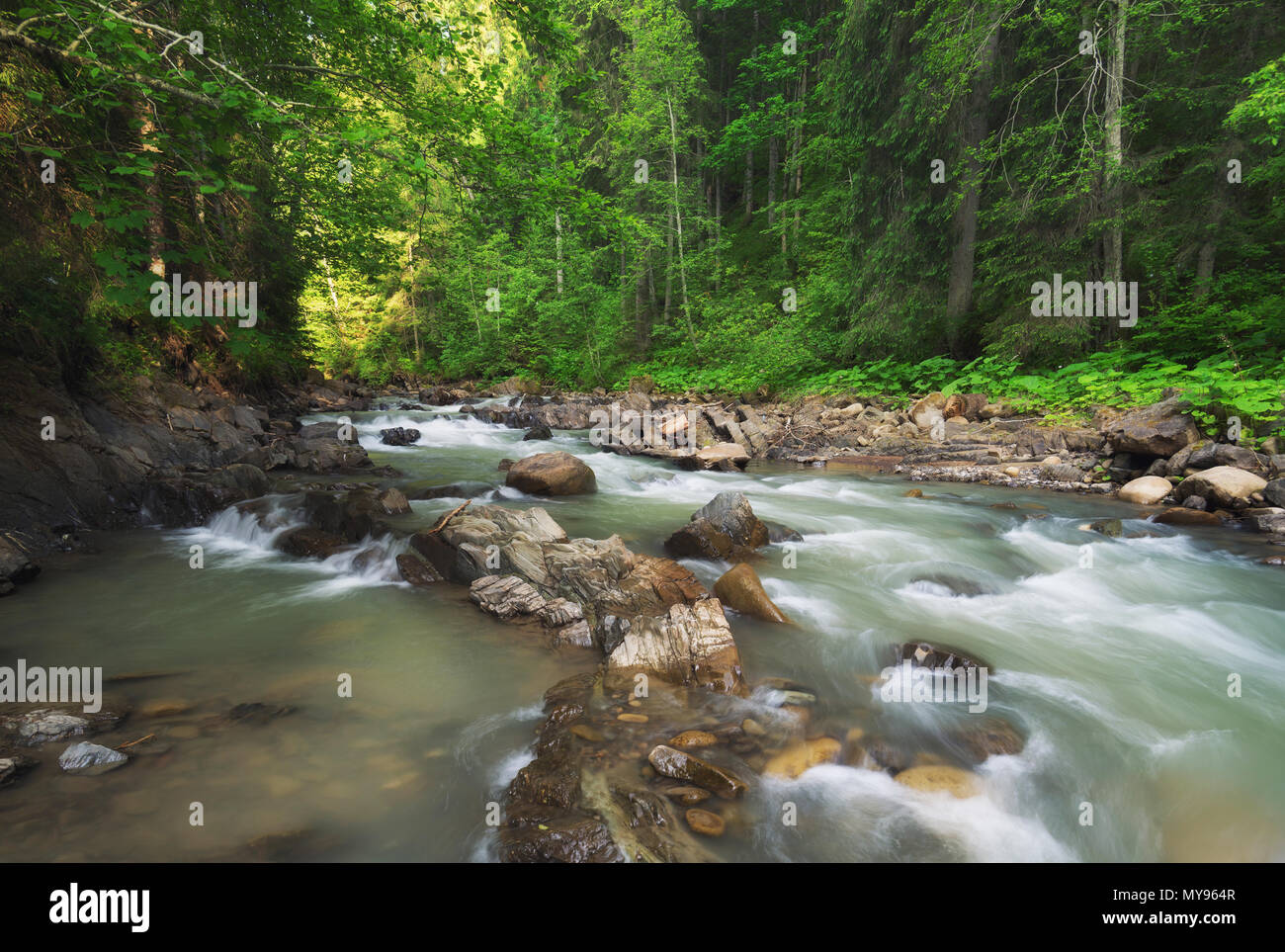 River in the forest. Beautiful natural landscape in the summer time ...
