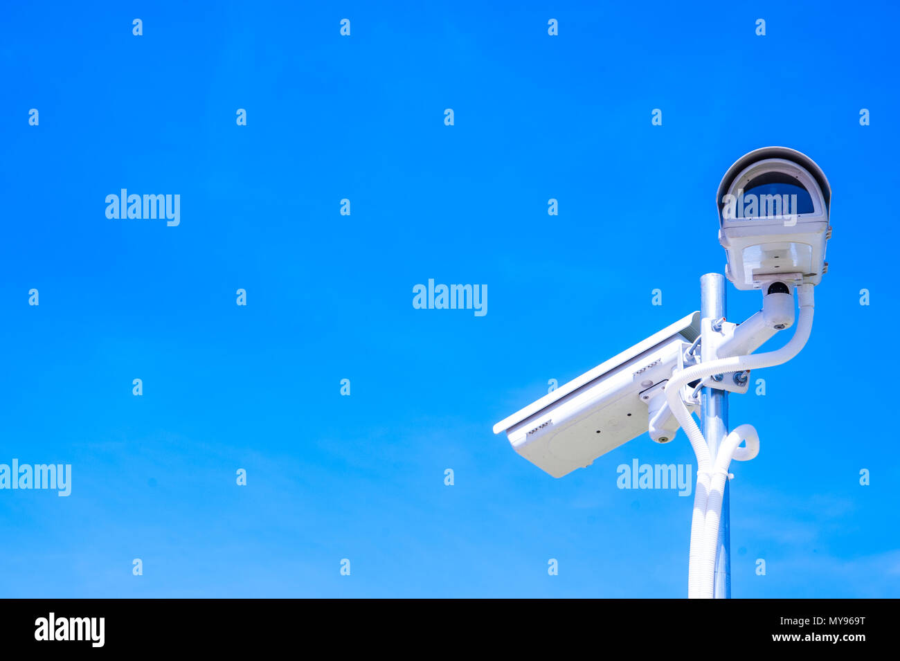 Datahouse hires stock photography and images Alamy