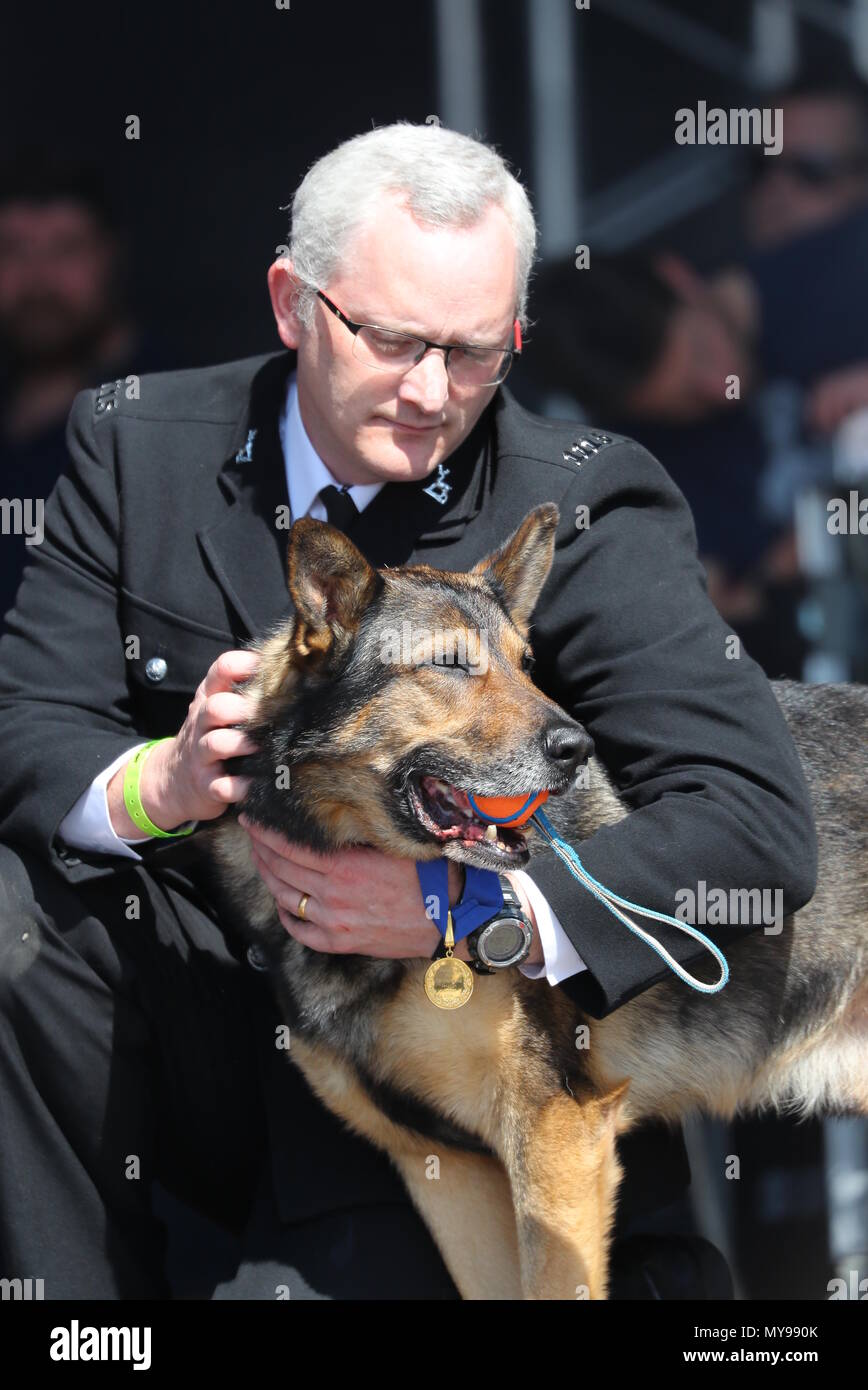 Pc Wardell Police dog Finn with his handler PC Dave Wardle is the recipient of ...
