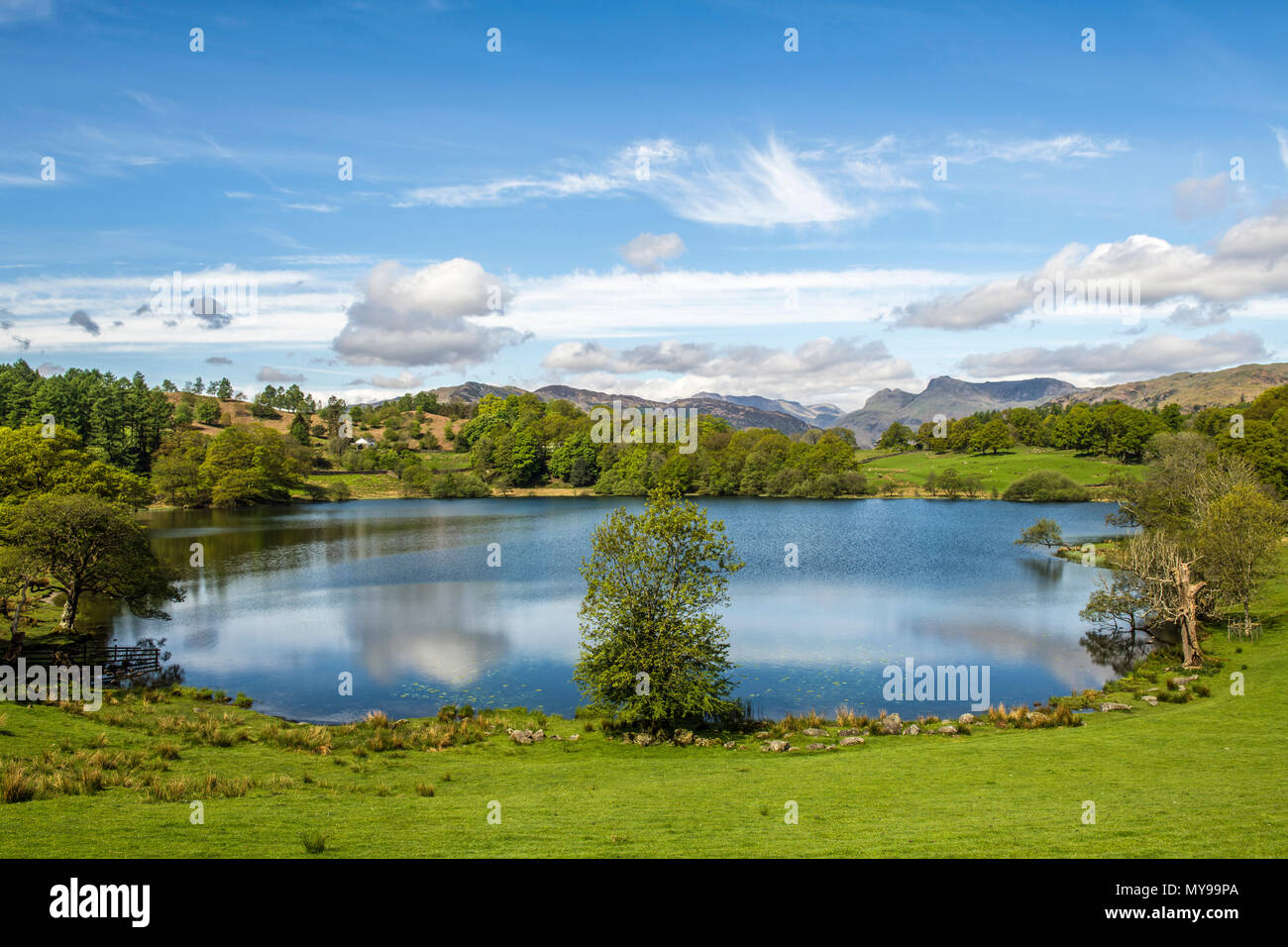 Loughrigg Tarn, on a sunny Spring Morning, in the Lake District National Park Stock Photo