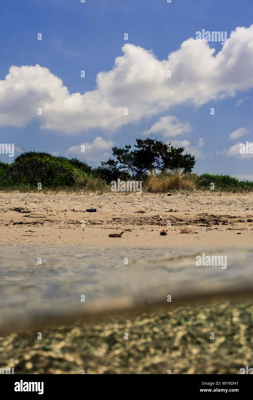 Split level over-under underwater sea image of foliage in Greek beach with golden sand on bright sunny day, Stock Photo