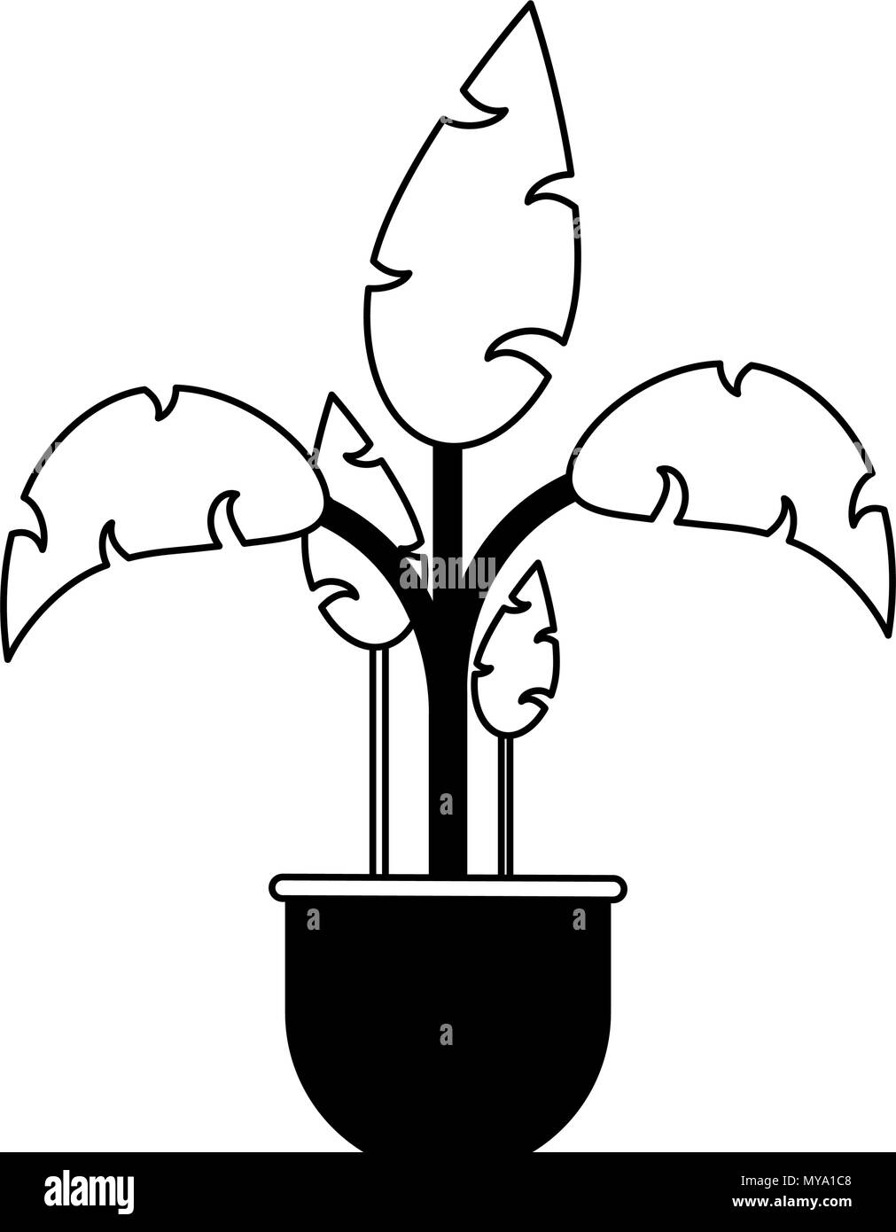 Plant in pot in black and white colors Stock Vector Image & Art - Alamy