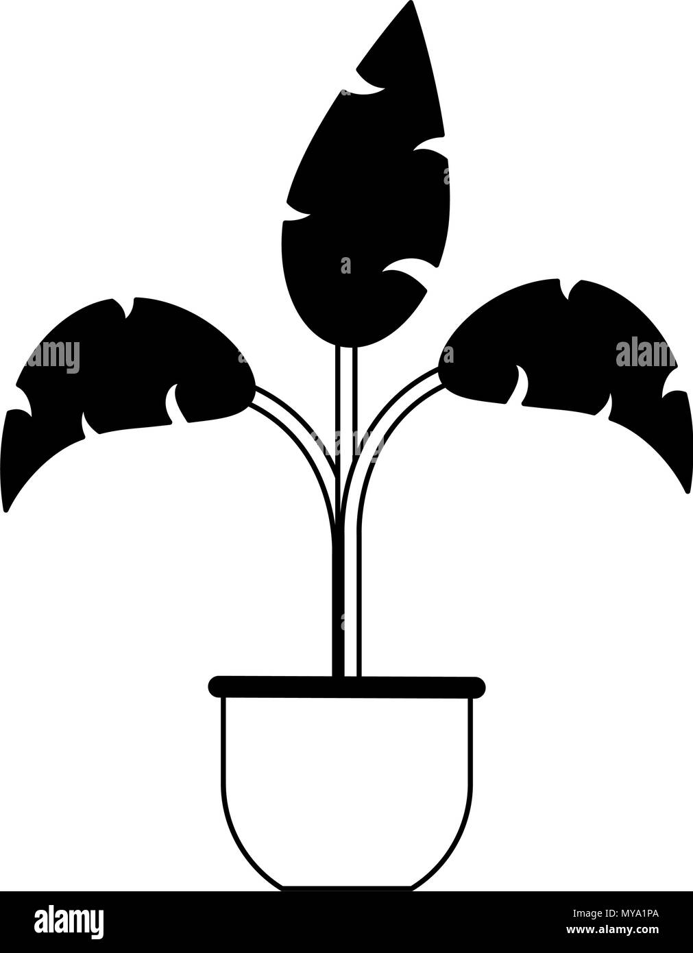 Plant in pot in black and white colors Stock Vector Image & Art Alamy