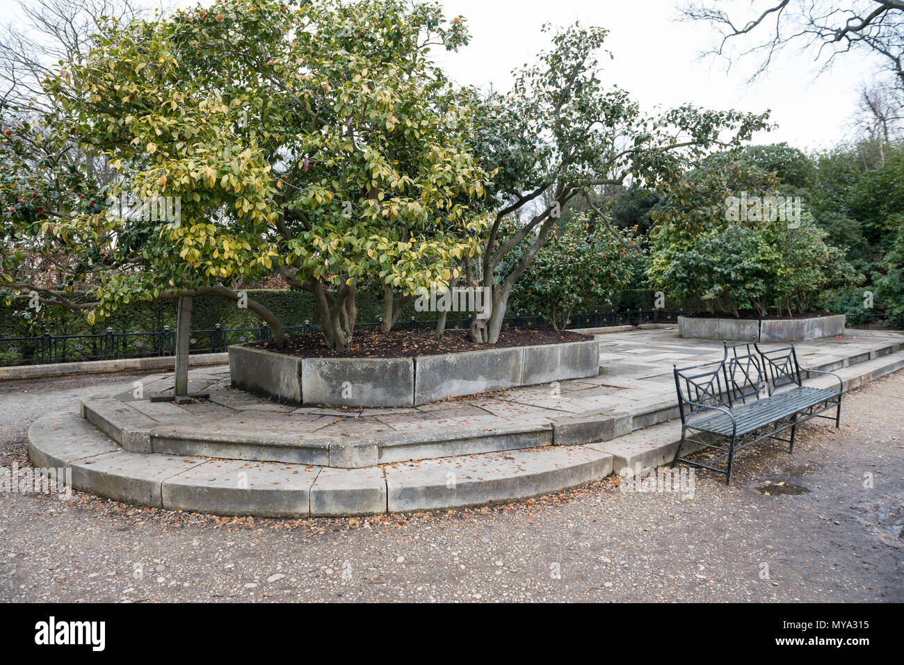 Claremont Landscape Gardens, Surrey Stock Photo Alamy