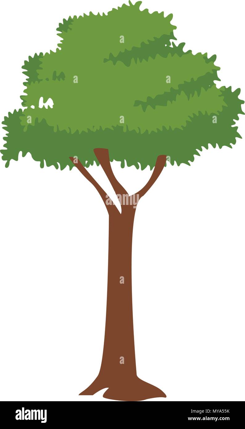 Tree nature isolated Stock Vector Image & Art - Alamy