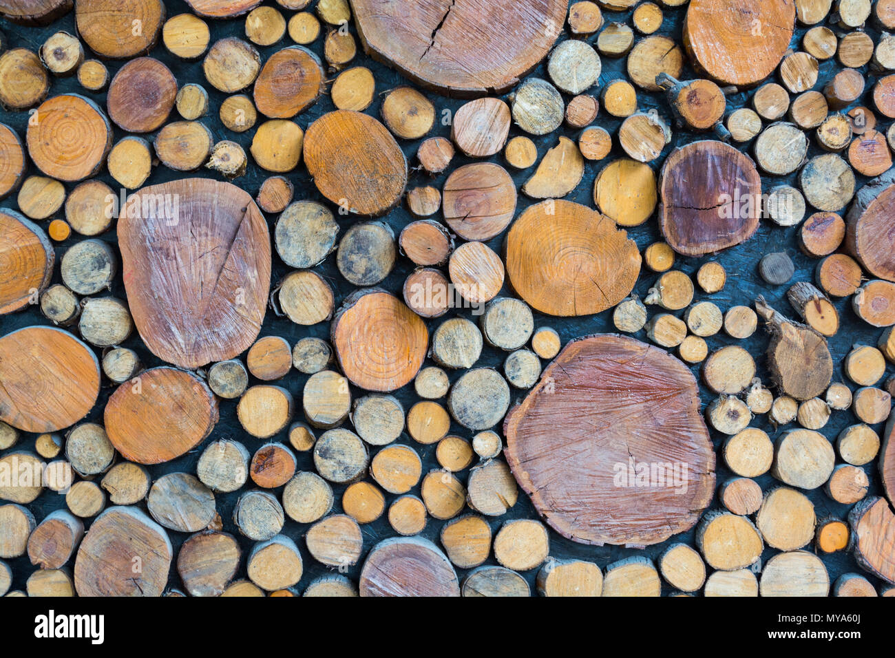 Abstract photo of a pile of natural wooden logs background, top view Stock Photo