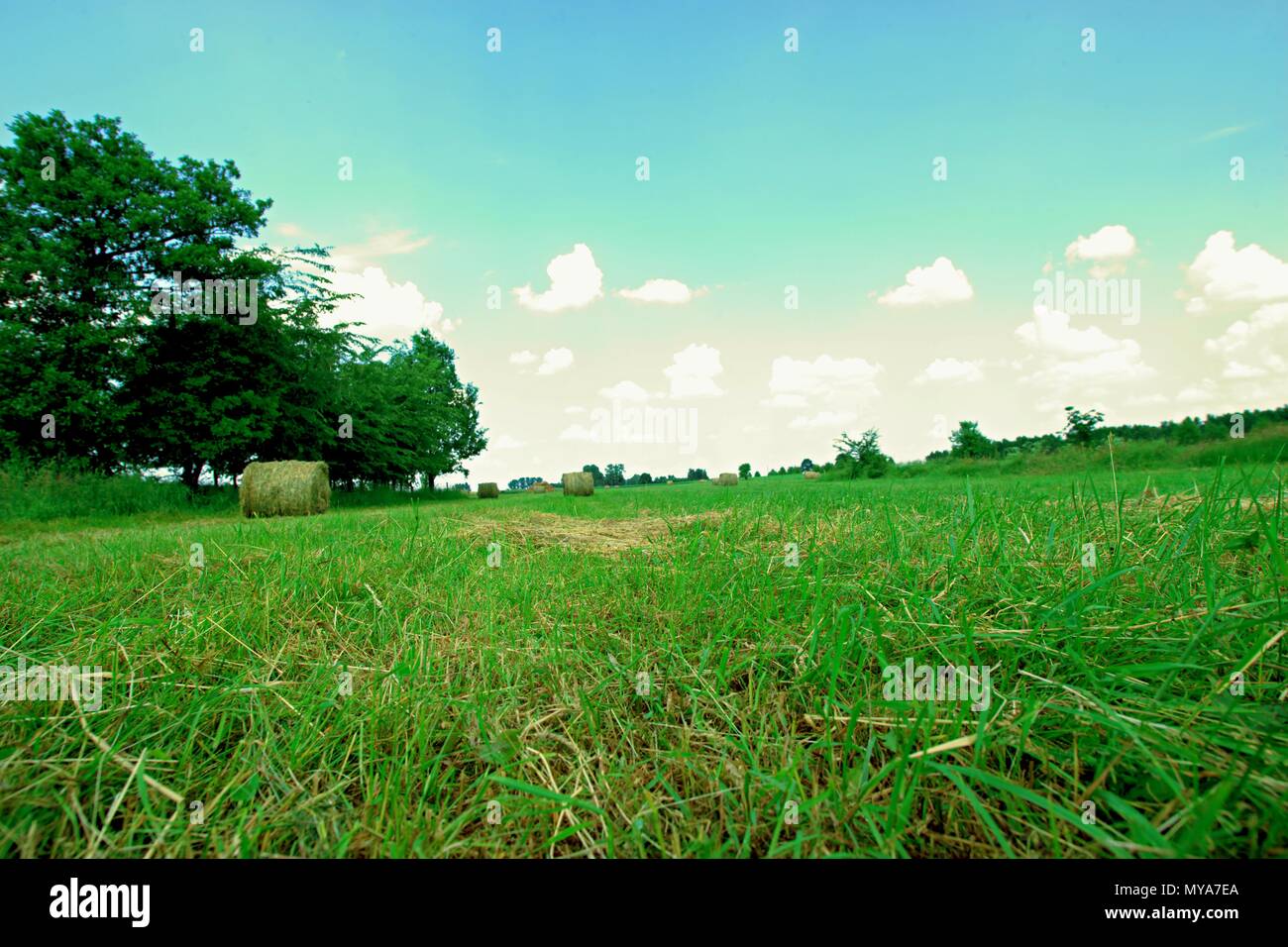 Beautiful landscape with straw bales in end of summer Stock Photo - Alamy