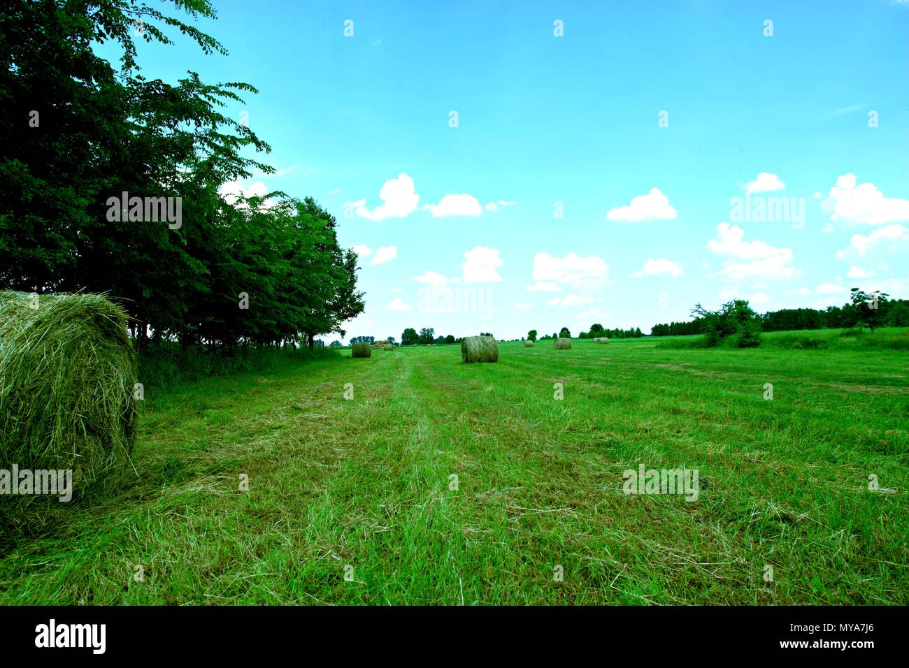 Beautiful landscape with straw bales in end of summer Stock Photo - Alamy