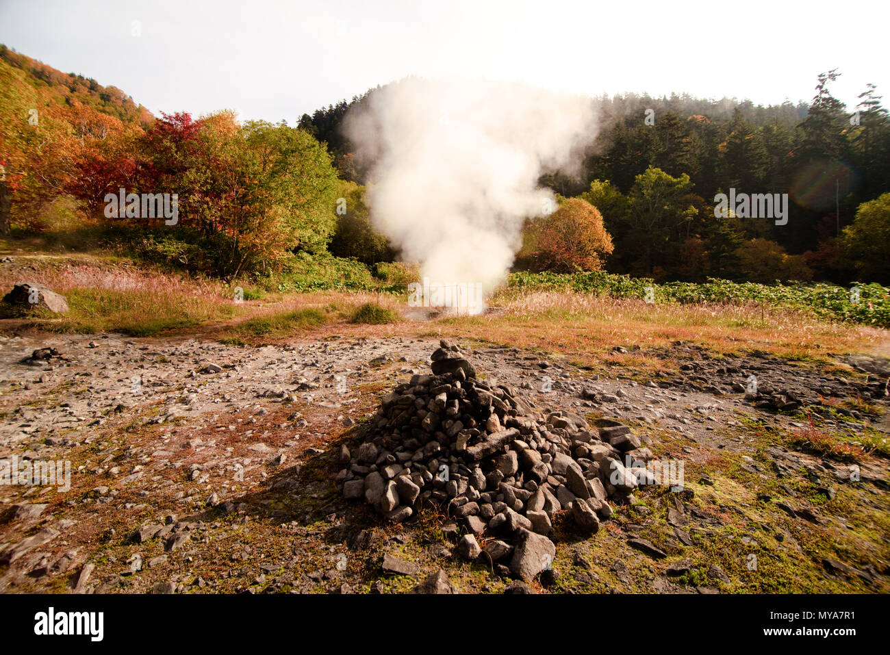 smoke from the volcano under the red leaves forest Stock Photo