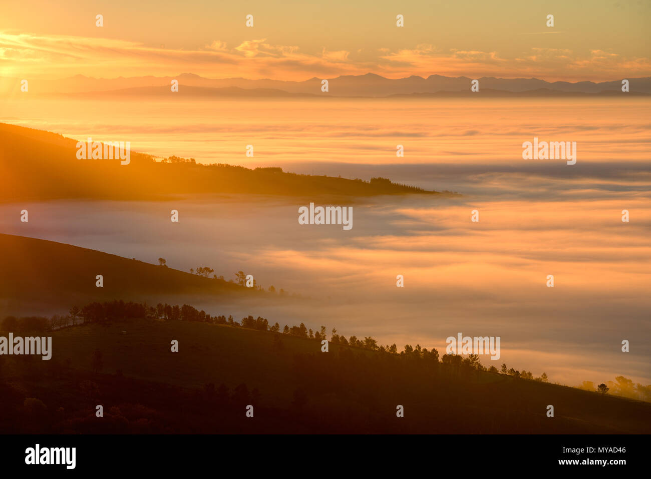 Dawn on fields and forests wrapped in mist, in Muras, Lugo, Galicia Stock Photo