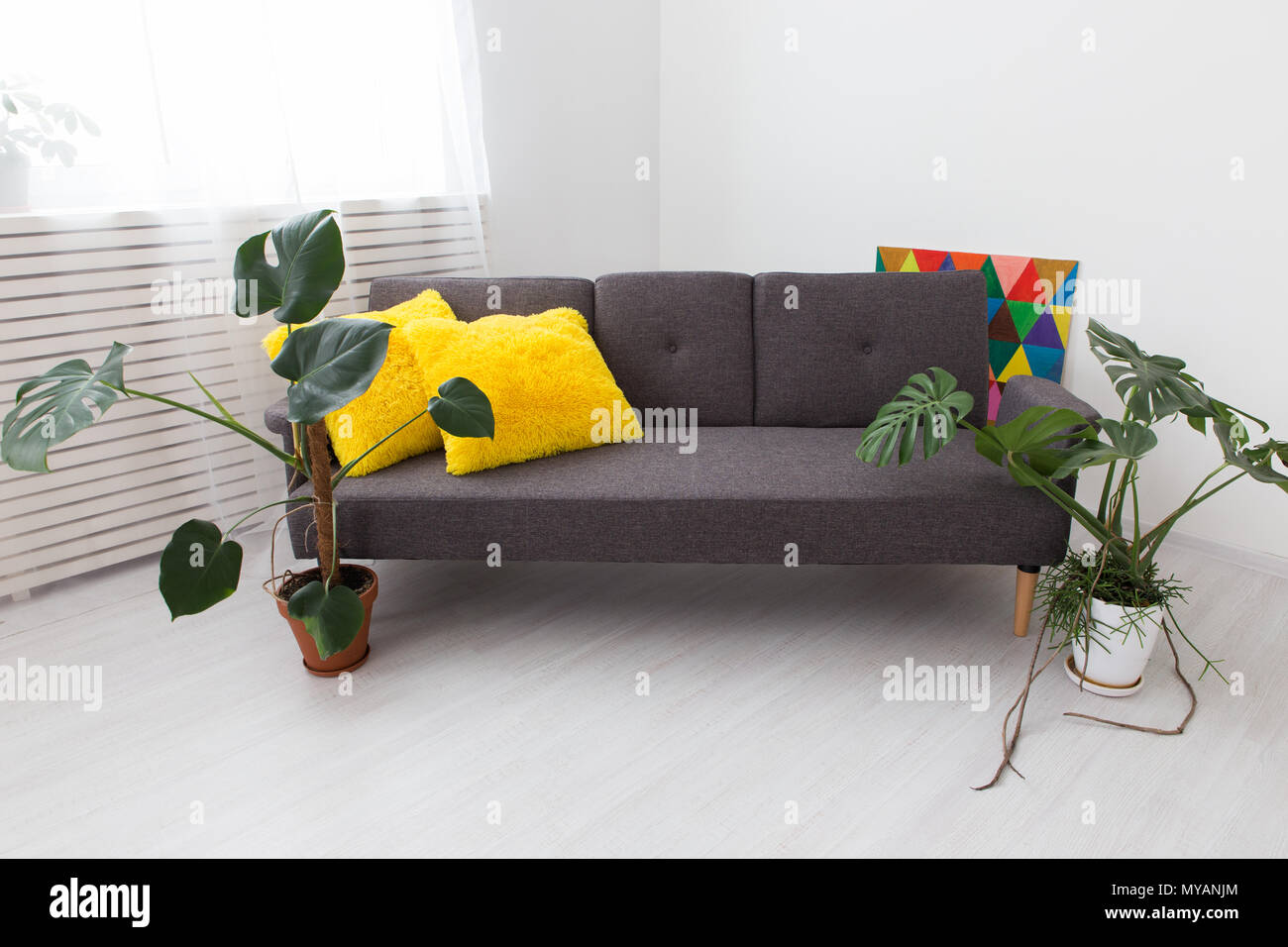 modern studio apartment with living plants. bright colors in the