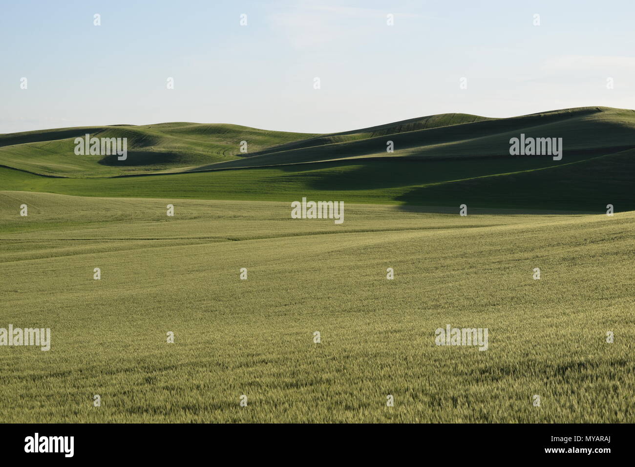 Spangle washington hi-res stock photography and images - Alamy